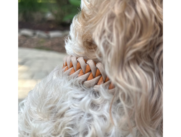 Fishtail Hand Braided Dog Collar in Mustard & Light Tan