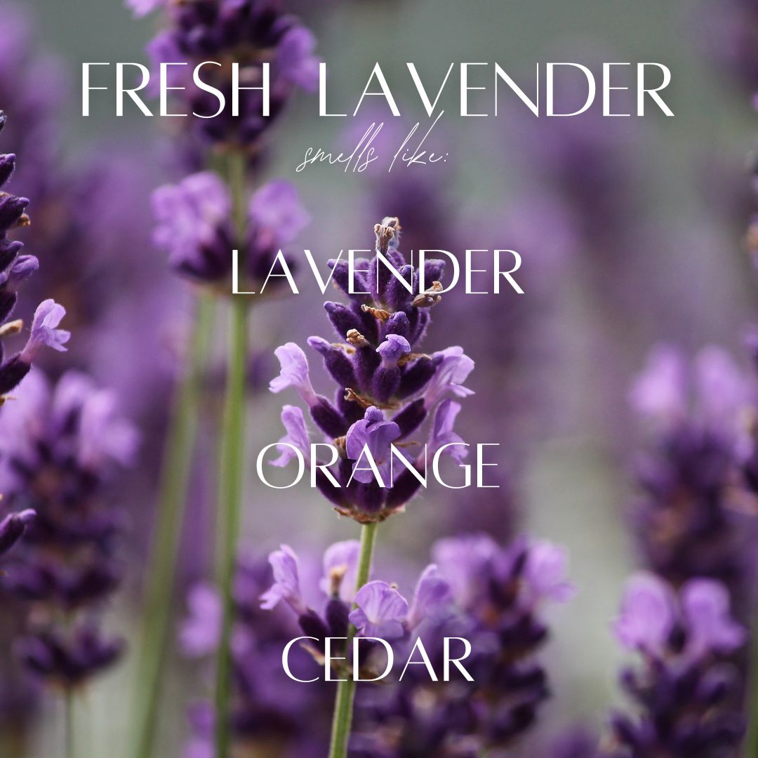 Fresh Lavender - 9 oz Whiskey Glass Candle