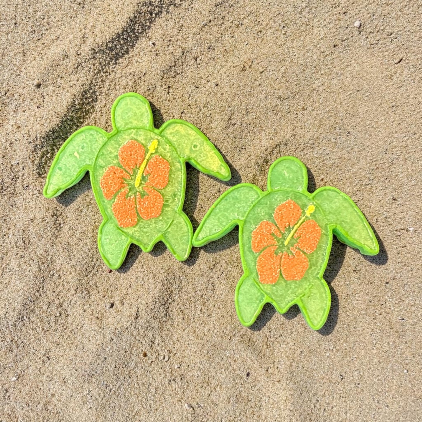 Turtle Vent Clips and Magnets