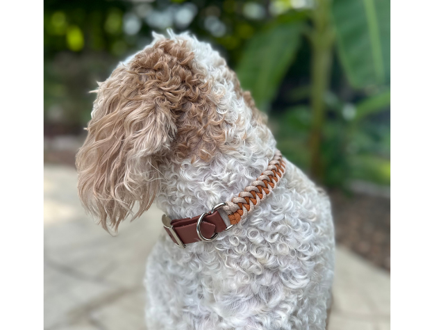 Fishtail Hand Braided Dog Collar in Mustard & Light Tan