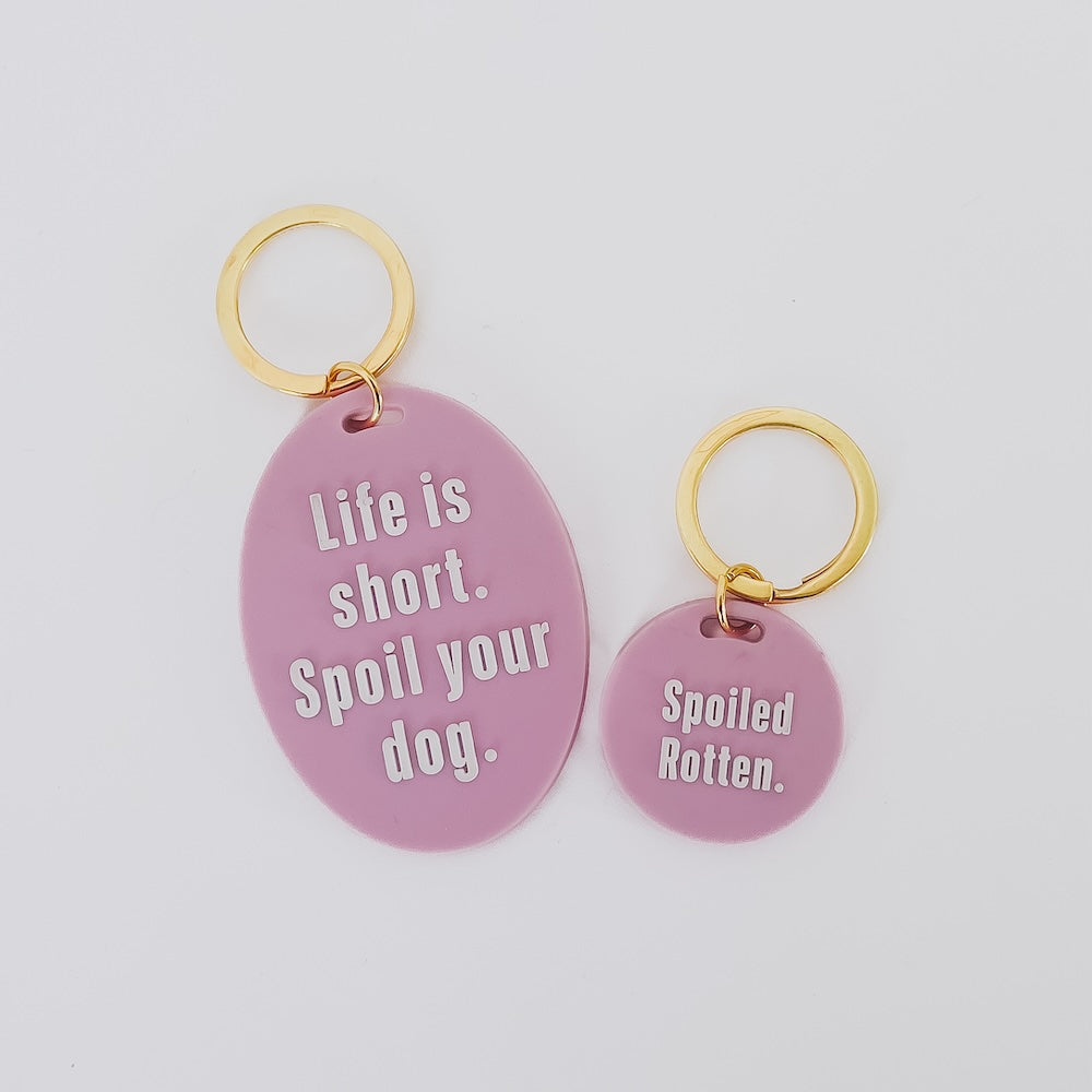Gus & Co - Dog Tag and Keychain Set