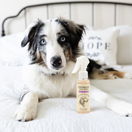 Mixologie Waterless Dog Wash
